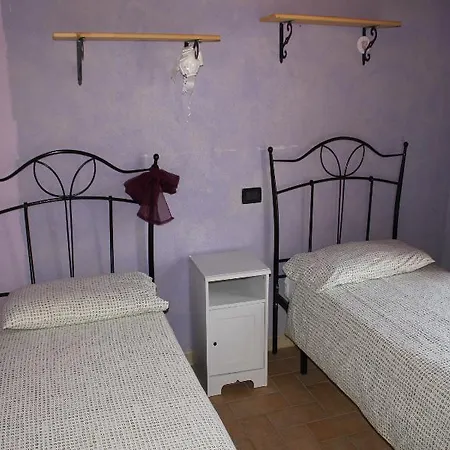 Nociquerceto Tarano