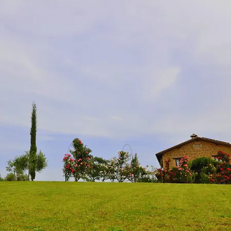 Nociquerceto Tarano